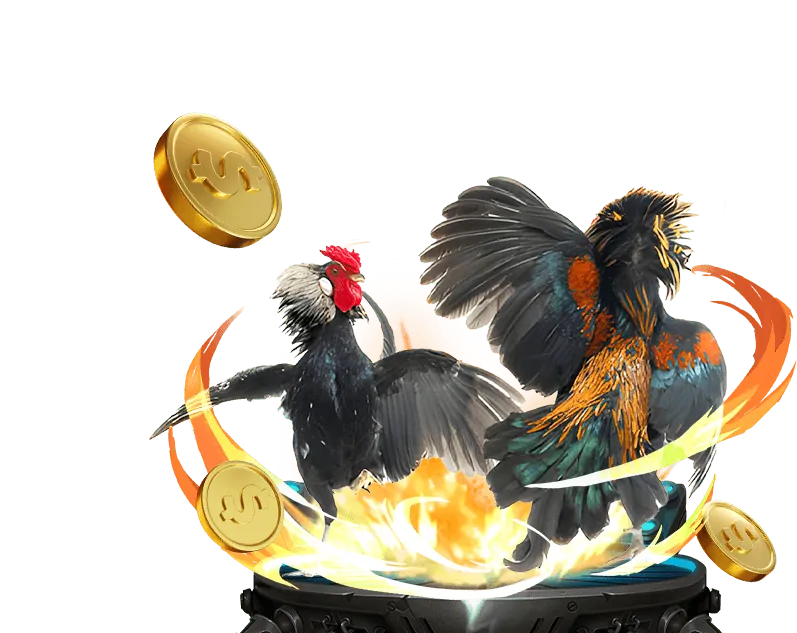 Cá cược thể thao tại neo88 net