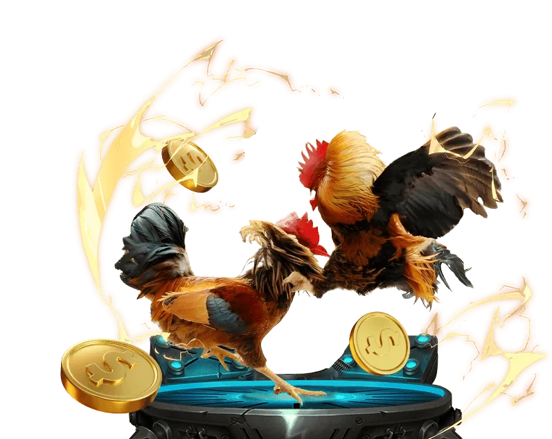 Tổng quan về đá gà trực tuyến tại neo88 net